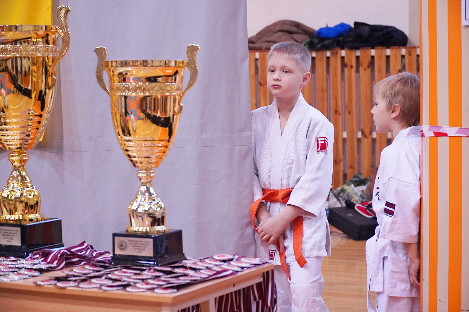 Arņa Kraukļa piemiņas kauss