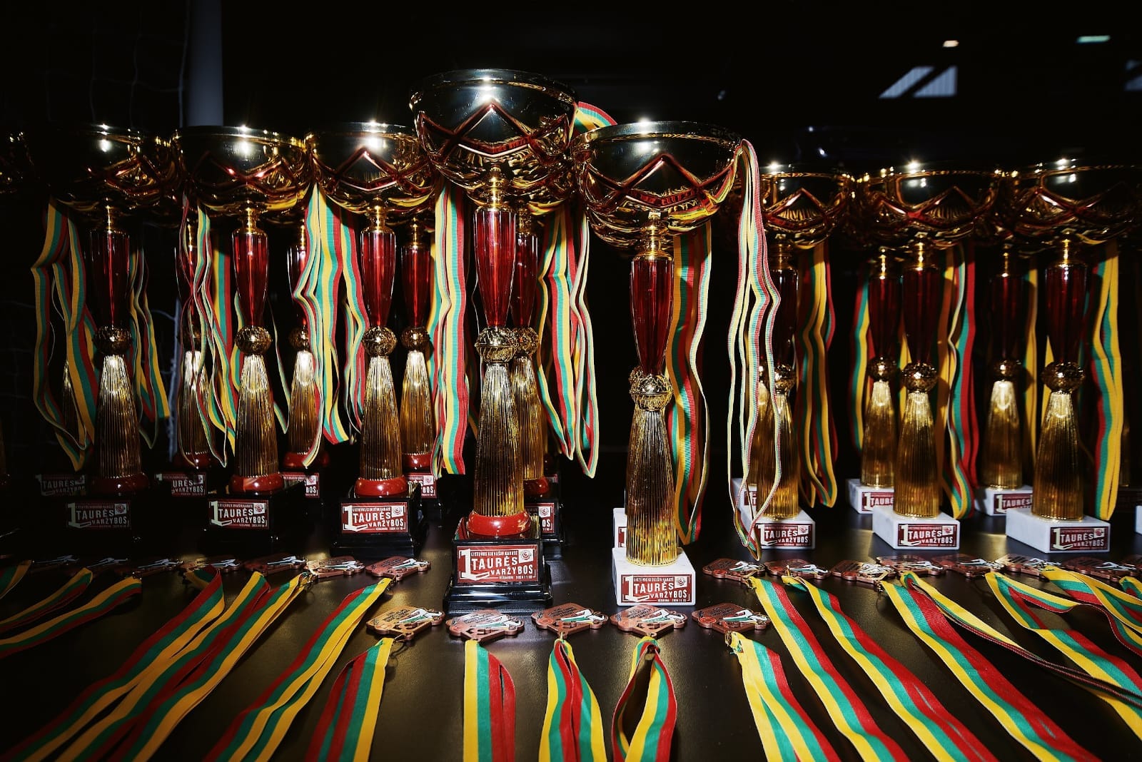 Lietuvas Kyokushin karate kauss 2024