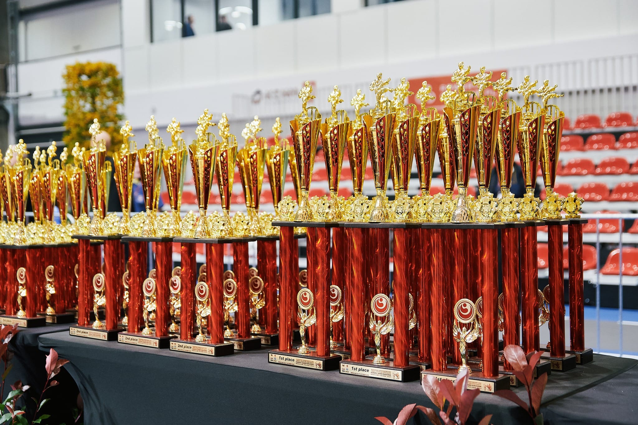 Eiropa čempionāta kausi