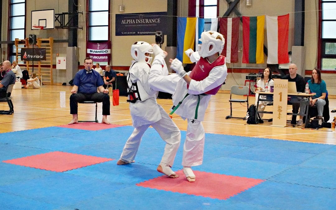 Gārdnera vairāku inteliģenču teorija un tās adaptācija Kyokushinkai karatē