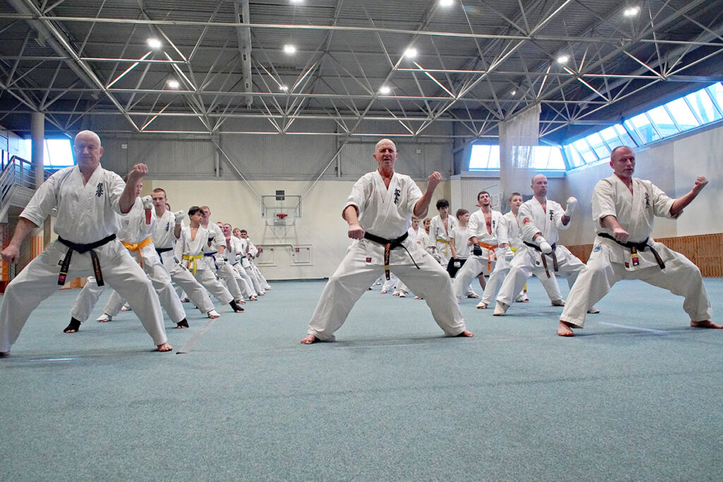 Kjokušinkai un WKF: atšķirīgie karatē attīstības vektori no pirmsākumiem līdz nākotnei 1