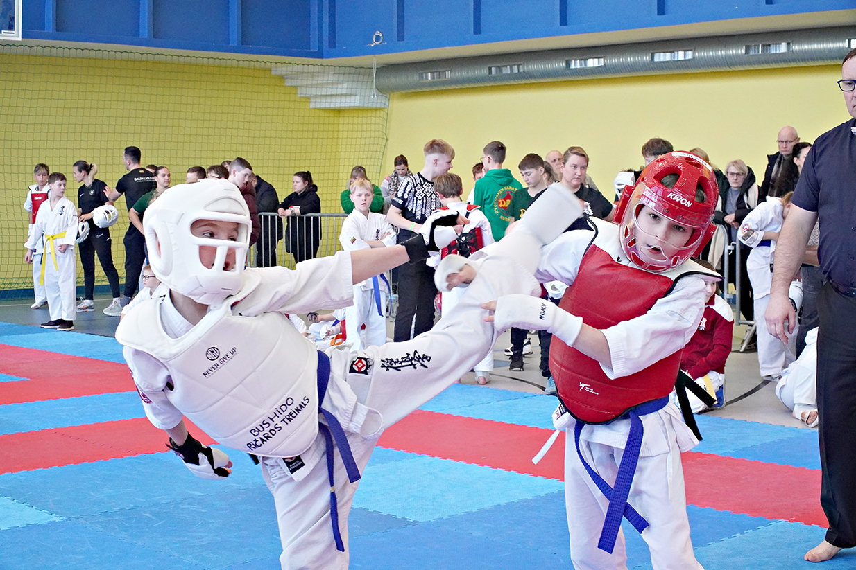 Žemaitijas kauss 2026